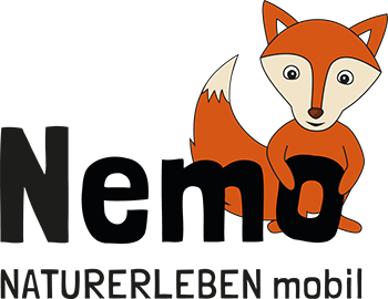 Draußenunterricht mit Nemo: Schule im Park nebenan