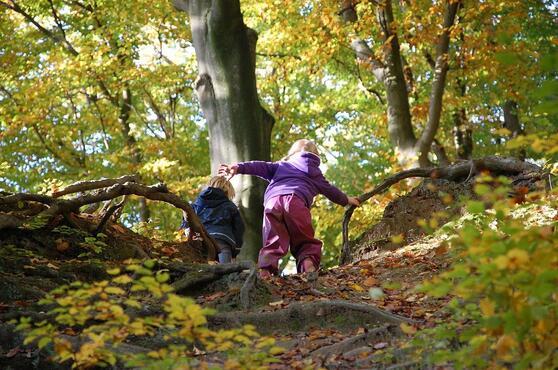 Berliner Waldschulen - Spurensuche im Wald