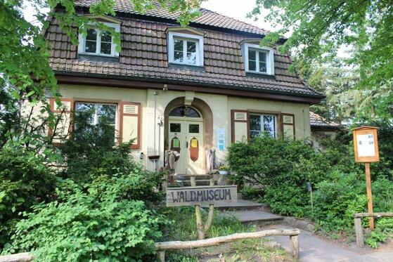 Waldschule Grunewald