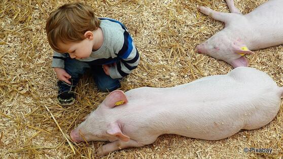 Bundesarbeitsgemeinschaft Lernort Bauernhof e. V.
