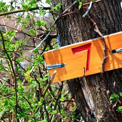 Märchenrätsel Adventskalender: Türchen Nr. 7