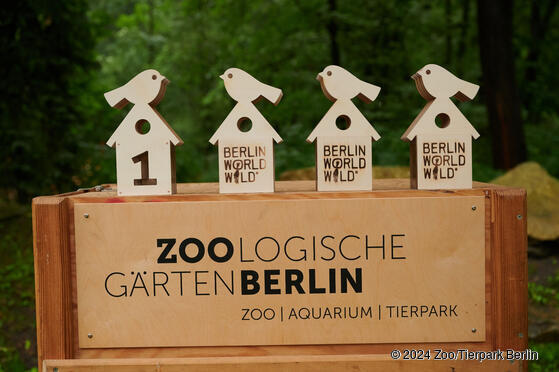 Schulhof-Initiative „Zurück zur Natur“