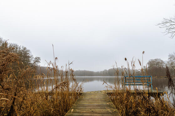 Seewanderung: Amtssee und Großer Heiliger See