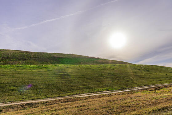 Seewanderung: Kies- oder Baggersee Arkenberge und Biotopsee Arkenberge