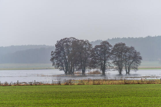 Seewanderung: Oberer Beetzsee