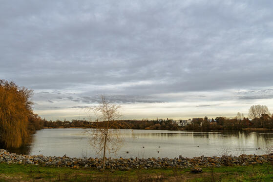 Seewanderung: Biesdorfer Baggersee
