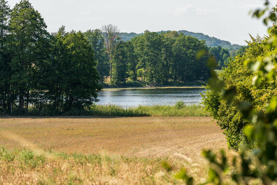 Seewanderung: Brodowinsee