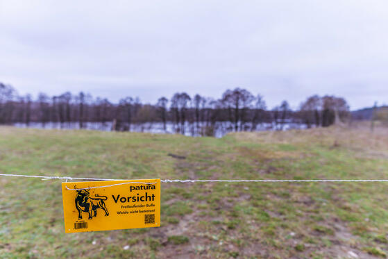 Seewanderung: Großer Buckowsee