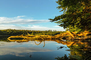 Seewanderung: Dagowsee