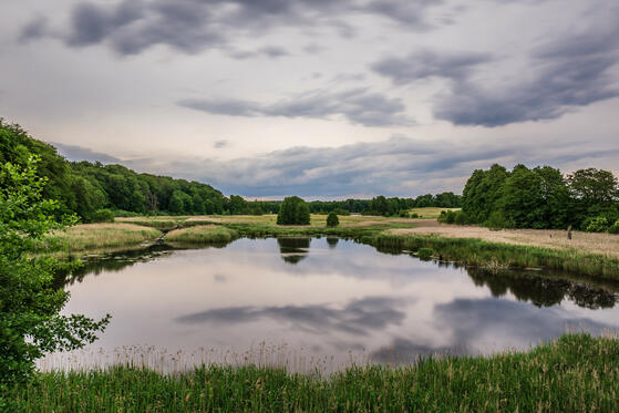 Seewanderung: Densow-See