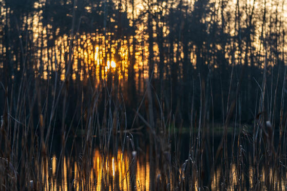 Seewanderung: Die Drei Heiligen Pfühle