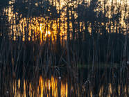 Die drei heiligen Pfühle