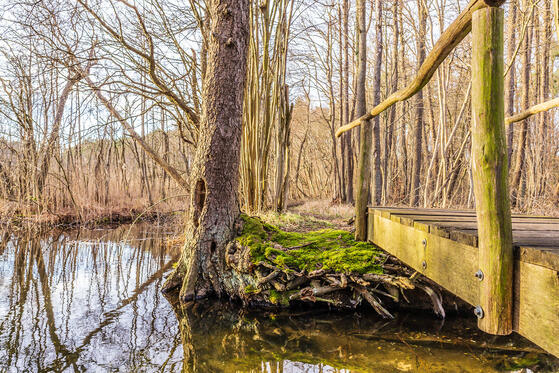 Seewanderung: Kleiner und Großer Dölchsee