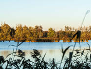 Eichler- u. Faulhaberstich