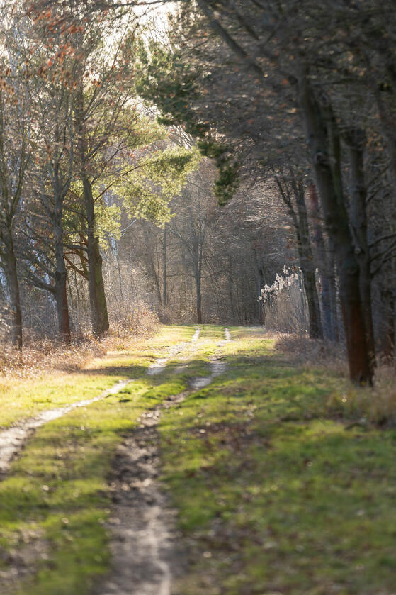 Fischteiche Spreewald