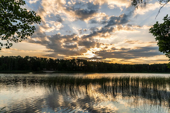 Frauensee