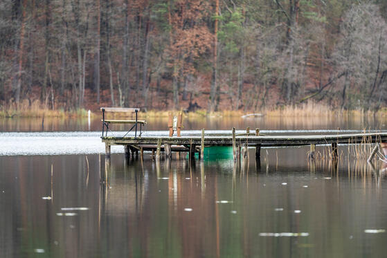 Seewanderung: Platkowsee und Glambecksee