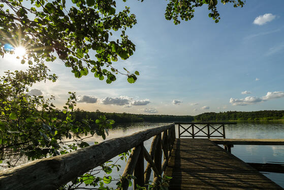 Seewanderung: Emstaler Schlauch und Gohlitzsee