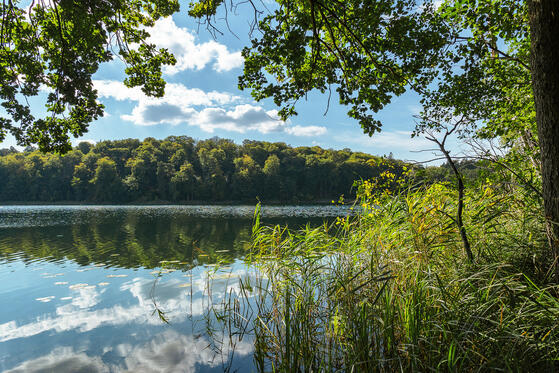 Seewanderung: Großer Boberowsee und Großer Glietzensee