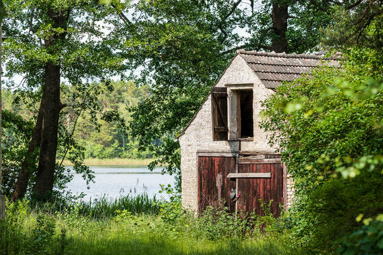 Seewanderung: Großer Roßkardtsee, Güldensee und Großer Karbuschsee