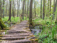 Großer Trepliner See