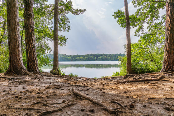 Seewanderung: Großer Wucksee