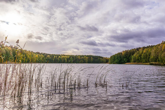 Seewanderung: Kleiner und Großer Lankesee
