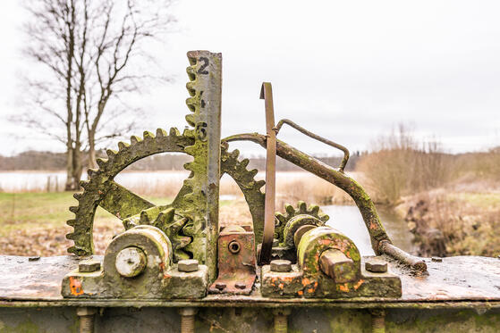 Seewanderung: Haussee bei Wolfshagen