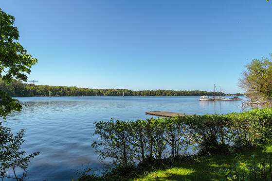 Seewanderung: Heiligensee