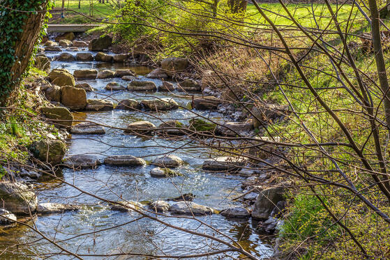 Seewanderung: Hellsee