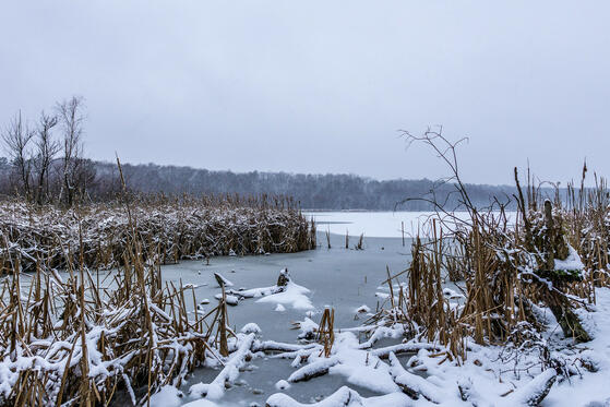 Seewanderung: Herrensee