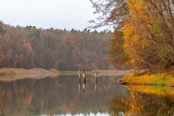 Seewanderung: Ihlandsee