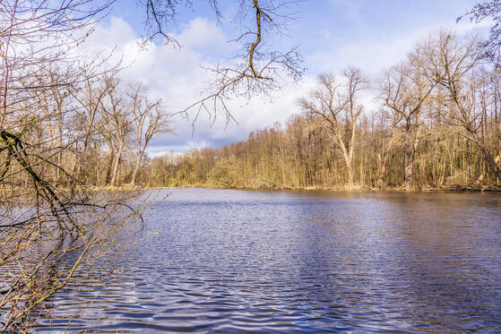 Seewanderung: Karpfenteiche in Buch
