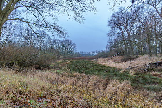 Seewanderung: Kiebitzsee