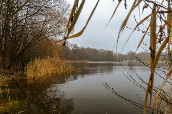 Seewanderung: Kiessee Schildow