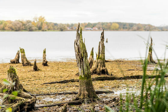 Seewanderung: Kietzer See