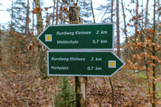 Kleinsee