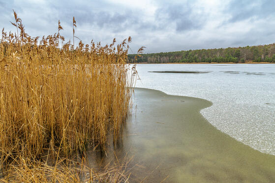Seewanderung: Kleinsee