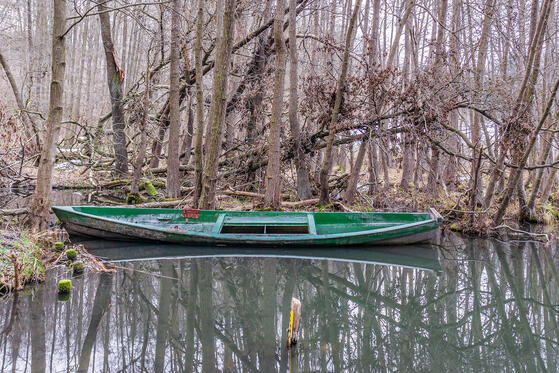 Seewanderung: Klobichsee und Großer Klobichsee