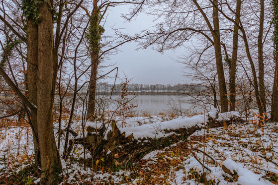 Seewanderung: Krummer See
