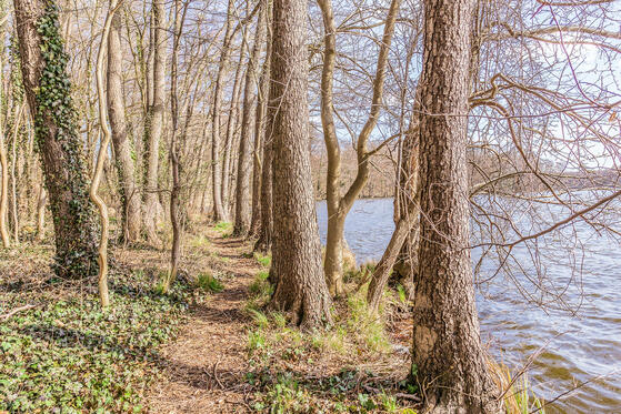 Seewanderung: Großer See und Küchensee