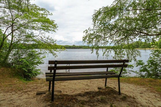 Seewanderung: Kutzingsee