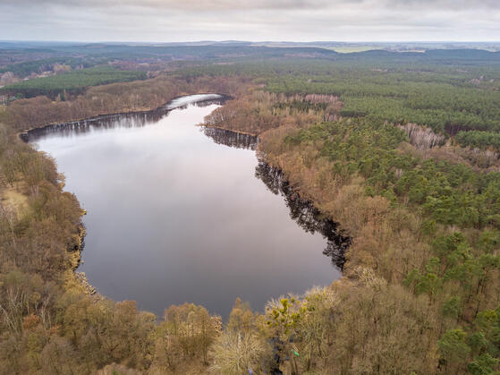 Seewanderung: Lettinsee, Kesselsee und Dolgensee