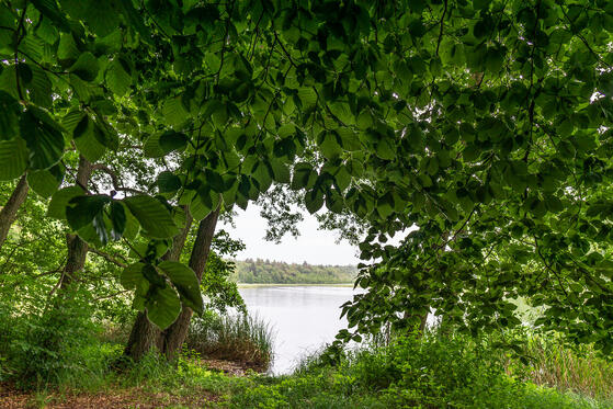 Seewanderung: Libbesickesee