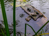 Liepnitzsee und Regenbogensee