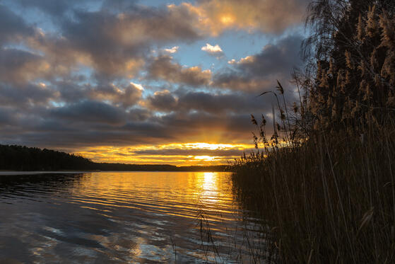 Seewanderung: Großer und Kleiner Mahlgastsee