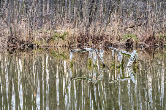 Seewanderung: Kleiner und Großer Möggelinsee