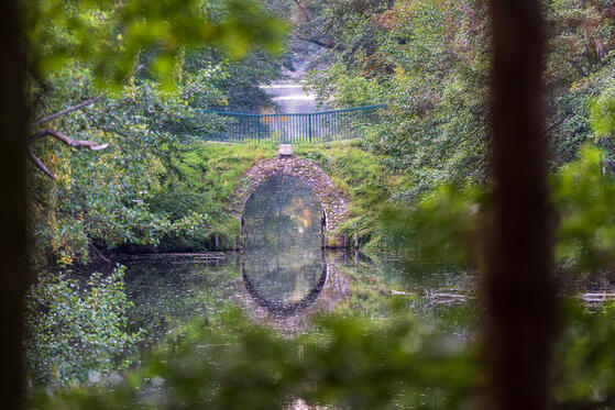 Seewanderung: Möllensee und Kiessee