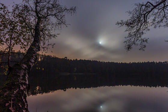 Seewanderung: Mühlenteich und Mühlenbecker See 