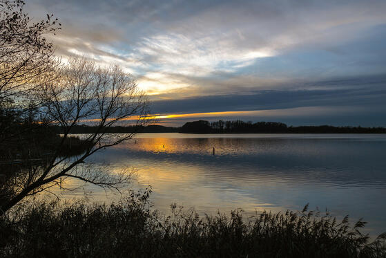 Seewanderung: Netzener See